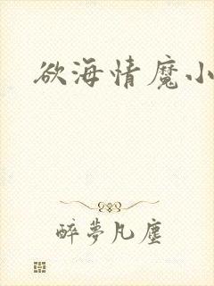 欲海情魔小说