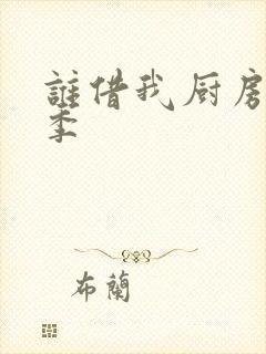 谁借我厨房第三季