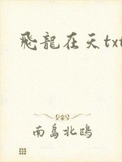 飞龙在天txt