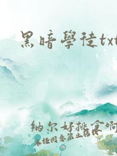 黑暗学徒txt