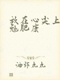 放在心尖上七猫勉肥康