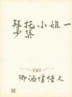 拜托小姐一共多少集