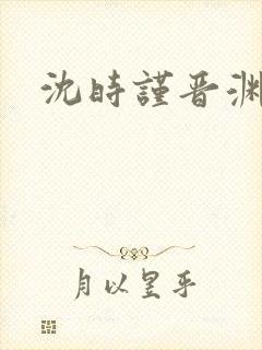 沈时谨晋渊小说