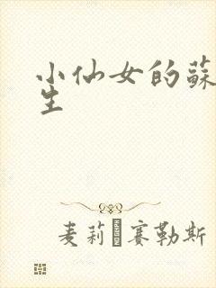 小仙女的苏撩先生