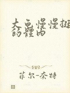 大龟慢慢挺进我的体内