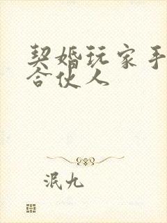 契婚玩家手册之合伙人