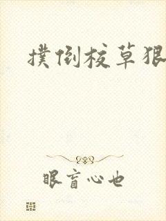 扑倒校草狠狠亲