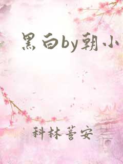 黑白by朝小诚
