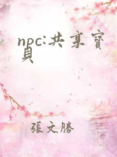 npc:共享宝贝