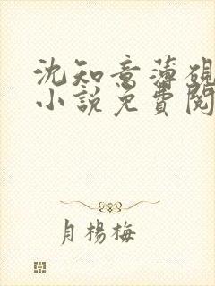 沈知意薄砚霆的小说免费阅读