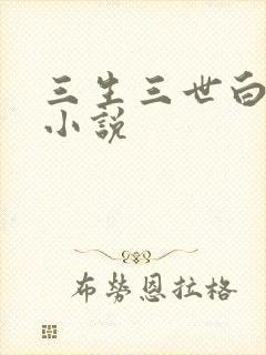 三生三世白暮泪小说