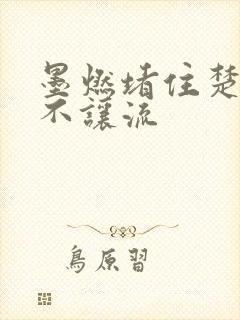 墨燃堵住楚晚宁不让流