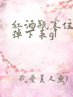 红酒瓶塞住不准掉下来gl