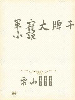 军宠大牌千金 小说