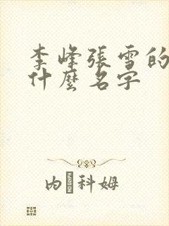 李峰张雪的书叫什么名字