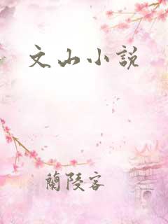 文山小说