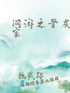 网游之骨灰级玩家