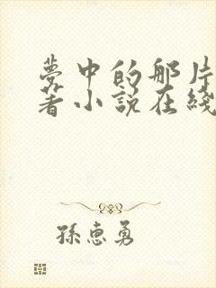 梦中的那片海原著小说在线阅读