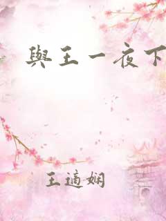 与王一夜下载