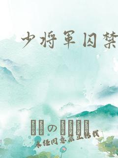 少将军囚禁我