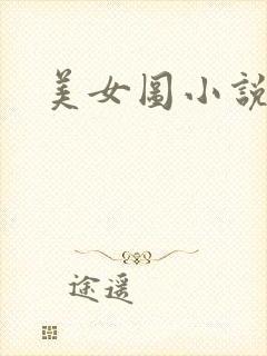 美女图小说下载
