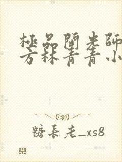 极品开光师李南方林青青小说叫