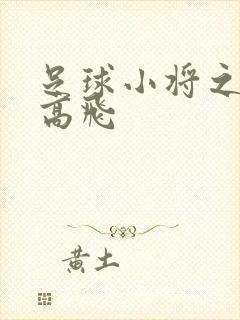 足球小将之展翅高飞