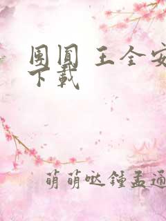 团圆 王全安 下载