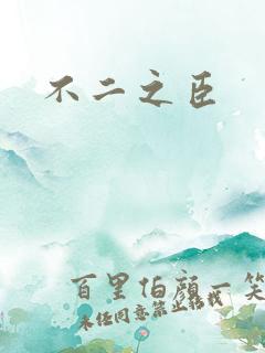 不二之臣