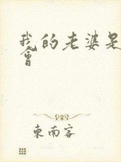 我的老婆是黑社会