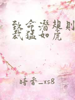 致命潜规则 总裁猛如虎