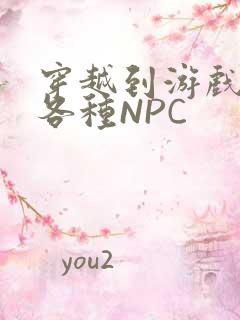 穿越到游戏里和各种NPC