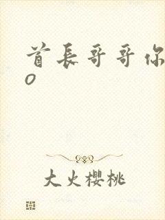 首长哥哥你好po