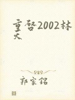 重启2002林天