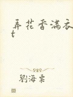 弄花香满衣txt