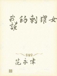 我的刺猬女孩小说