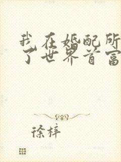 我在婚配所摇到了世界首富小说