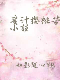 蜜汁樱桃苦咖啡小说