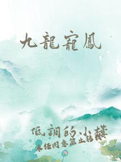 九龙宠凤