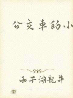 公交车的小说