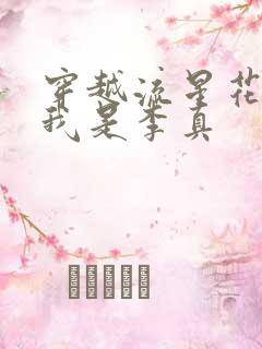 穿越流星花园之我是李真