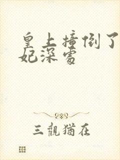 皇上撞倒了太子妃深处