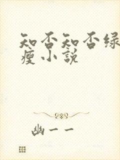 知否知否绿肥红瘦小说