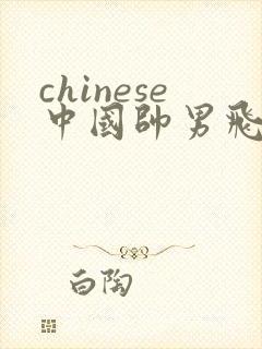 chinese中国帅男飞机