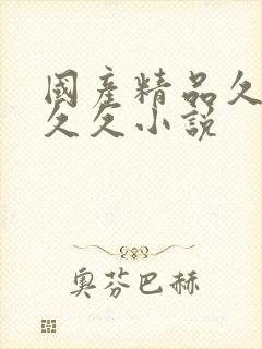 国产精品久久久久久小说