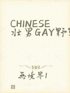 CHINESE壮男GAY野战强迫TUBE