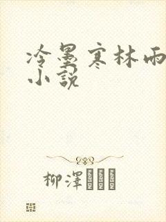 冷墨寒林雨彤的小说