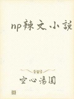 np辣文小说