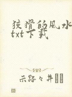 狡猾的风水相师txt下载