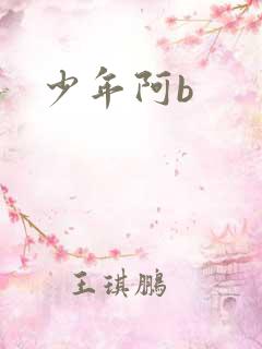 少年阿b
